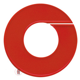 Bild von Ringscheibe mit Rand in Rot